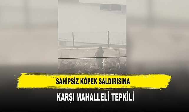 Sahipsiz Köpek Saldırısına  Karşı Mahalleli Tepkili