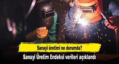 Sanayi Üretim Endeksi verileri açıklandı