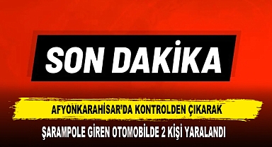 Şarampole Giren Otomobilde 2 Kişi Yaralandı