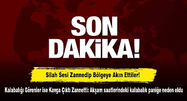 Silah Sesi Zannedip Bölgeye Akın Ettiler! Kalabalığı Görenler ise Kavga Çıktı Zannetti: Akşam saatlerindeki kalabalık paniğe neden oldu