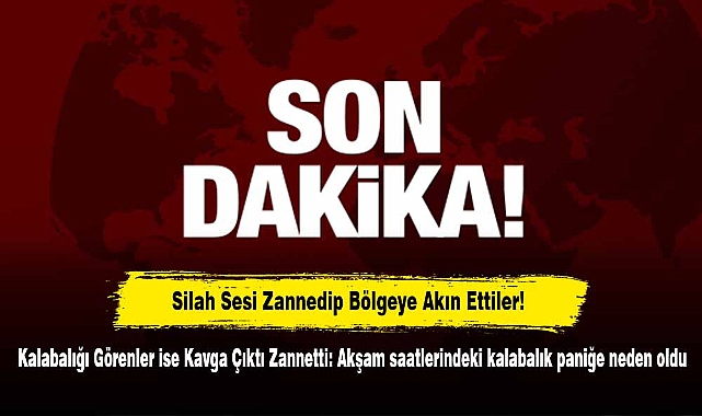 Silah Sesi Zannedip Bölgeye Akın Ettiler! Kalabalığı Görenler ise Kavga Çıktı Zannetti: Akşam saatlerindeki kalabalık paniğe neden oldu
