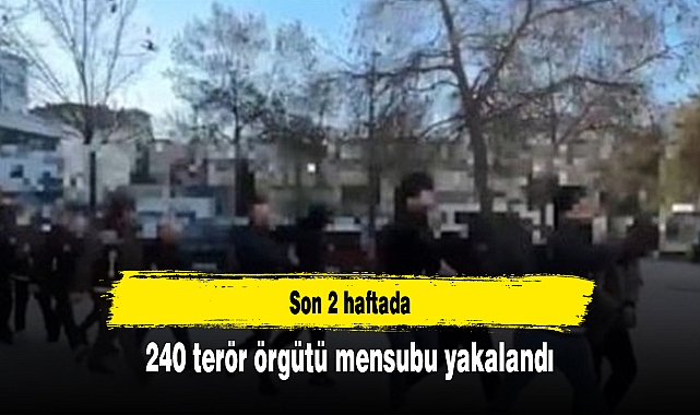 Son 2 haftada 240 terör örgütü mensubu yakalandı