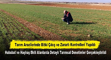 Tarım Arazilerinde Bitki Çıkış ve Zararlı Kontrolleri Yapıldı: Hububat ve Haşhaş Ekili Alanlarda Detaylı Tarımsal Denetimler Gerçekleştirildi