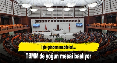 TBMM'de yoğun mesai başlıyor: İşte gündem maddeleri...