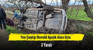 Tırın Çarptığı Otomobil Ağaçlık Alana Uçtu: 3 Yaralı