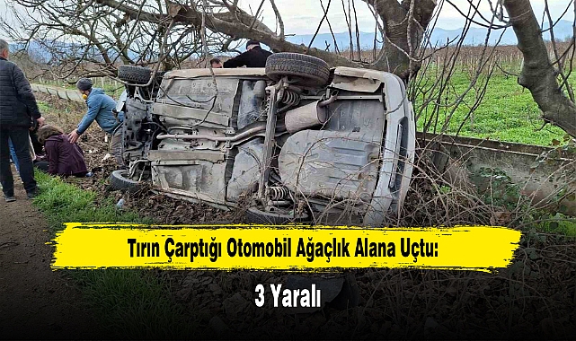 Tırın Çarptığı Otomobil Ağaçlık Alana Uçtu: 3 Yaralı