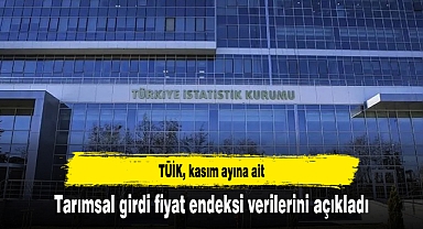 TÜİK, kasım ayına ait tarımsal girdi fiyat endeksi verilerini açıkladı