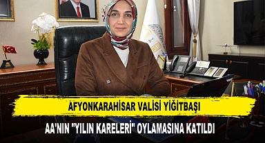 Vali Yiğitbaşı, AA'nın
