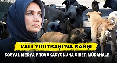 Vali Yiğitbaşı'na Karşı Sosyal Medya Provokasyonuna Siber Müdahale