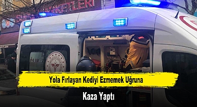 Yola Fırlayan Kediyi Ezmemek Uğruna Kaza Yaptı