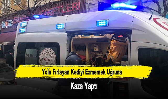 Yola Fırlayan Kediyi Ezmemek Uğruna Kaza Yaptı