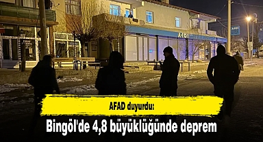 AFAD duyurdu: Bingöl'de 4,8 büyüklüğünde deprem