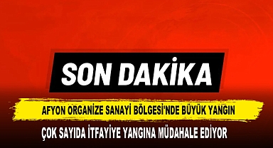 AFYON ORGANİZE SANAYİ BÖLGESİ'NDE BÜYÜK YANGIN