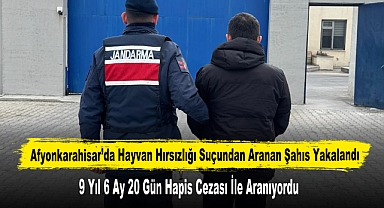 Afyonkarahisar’da Hayvan Hırsızlığı Suçundan Aranan Şahıs Yakalandı