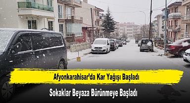 Afyonkarahisar'da Kar Yağışı Başladı