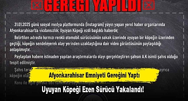 Afyonkarahisar Emniyeti Gereğini Yaptı: Uyuyan Köpeği Ezen Sürücü Yakalandı!