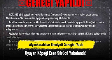 Afyonkarahisar Emniyeti Gereğini Yaptı: Uyuyan Köpeği Ezen Sürücü Yakalandı!