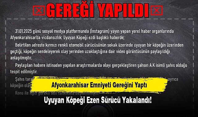 Afyonkarahisar Emniyeti Gereğini Yaptı: Uyuyan Köpeği Ezen Sürücü Yakalandı!