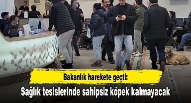 Bakanlık harekete geçti: Sağlık tesislerinde sahipsiz köpek kalmayacak
