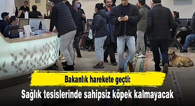 Bakanlık harekete geçti: Sağlık tesislerinde sahipsiz köpek kalmayacak