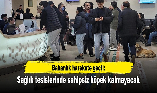 Bakanlık harekete geçti: Sağlık tesislerinde sahipsiz köpek kalmayacak