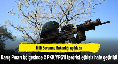 Barış Pınarı bölgesinde 2 PKK/YPG'li terörist etkisiz hale getirildi
