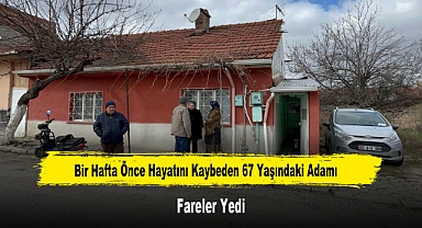 Bir Hafta Önce Hayatını Kaybeden 67 Yaşındaki Adamı Fareler Yedi