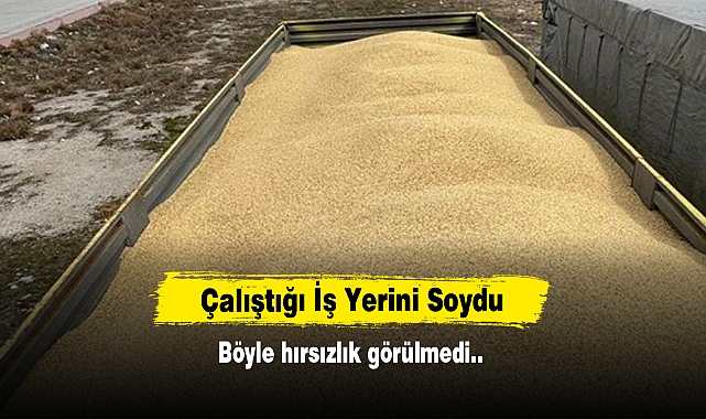 Çalıştığı İş Yerini Soydu