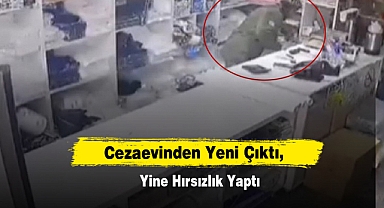 Cezaevinden Yeni Çıktı, Yine Hırsızlık Yaptı