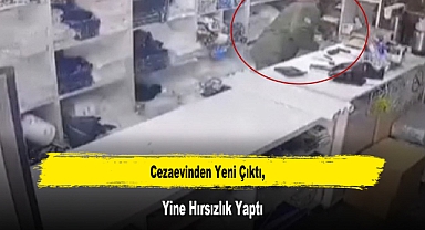 Cezaevinden Yeni Çıktı, Yine Hırsızlık Yaptı