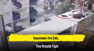 Cezaevinden Yeni Çıktı, Yine Hırsızlık Yaptı