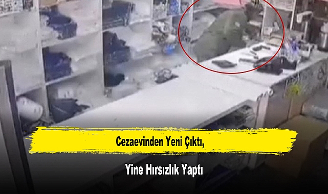 Cezaevinden Yeni Çıktı, Yine Hırsızlık Yaptı