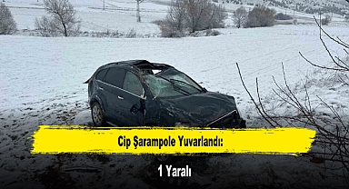 Cip Şarampole Yuvarlandı: 1 Yaralı