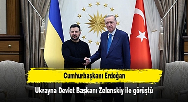 Cumhurbaşkanı Erdoğan, Ukrayna Devlet Başkanı Zelenskiy ile görüştü