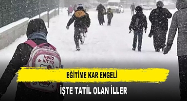 EĞİTİME KAR ENGELİ İŞTE TATİL OLAN İLLER