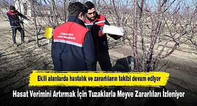 Ekili alanlarda hastalık ve zararlıların takibi devam ediyor