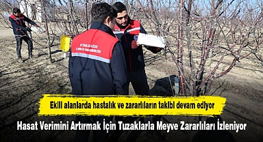Ekili alanlarda hastalık ve zararlıların takibi devam ediyor
