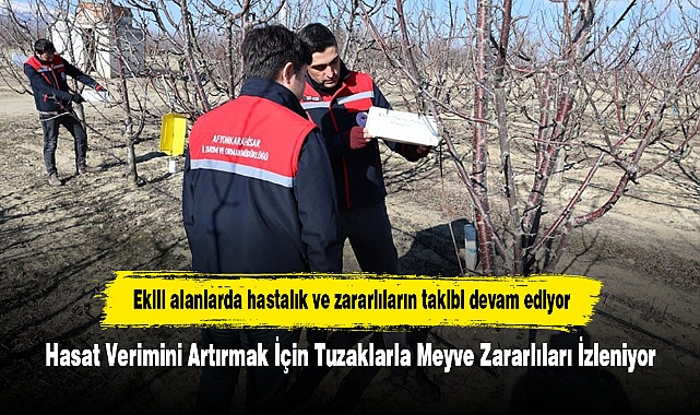 Ekili alanlarda hastalık ve zararlıların takibi devam ediyor