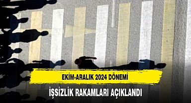 EKİM-ARALIK 2024 DÖNEMİ İŞSİZLİK RAKAMLARI AÇIKLANDI