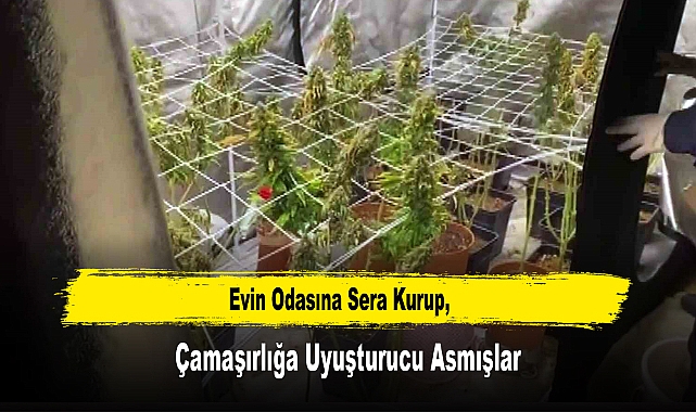Evin Odasına Sera Kurup, Çamaşırlığa Uyuşturucu Asmışlar