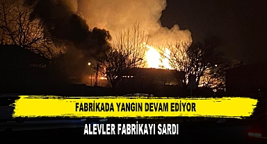 FABRİKA YANGININDA ALEVLER VE DUMANLAR YÜKSELDİ