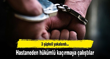 Hastaneden hükümlü kaçırmaya çalıştılar