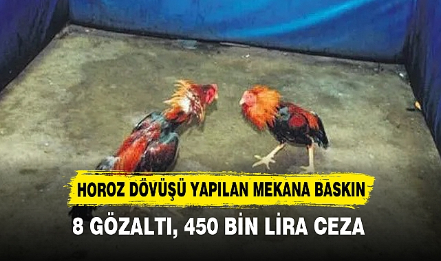 HOROZ DÖVÜŞÜ YAPILAN MEKANA BASKIN
