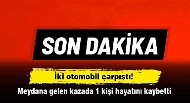 İki otomobil çarpıştı! Meydana gelen kazada 1 kişi hayatını kaybetti