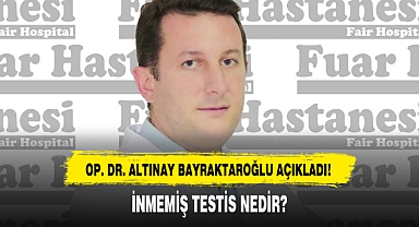 İNMEMİŞ TESTİS NEDİR?