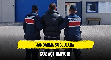 JANDARMA SUÇLULARA GÖZ AÇTIRMIYOR!