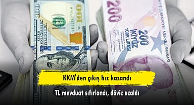 KKM'den çıkış hız kazandı: TL mevduat sıfırlandı, döviz azaldı