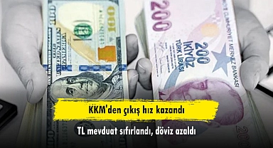 KKM'den çıkış hız kazandı: TL mevduat sıfırlandı, döviz azaldı