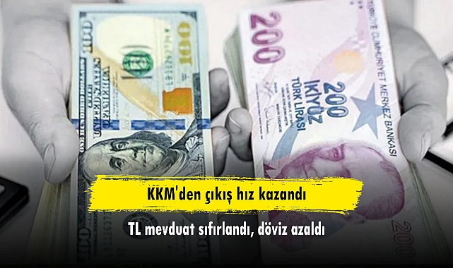 KKM'den çıkış hız kazandı: TL mevduat sıfırlandı, döviz azaldı