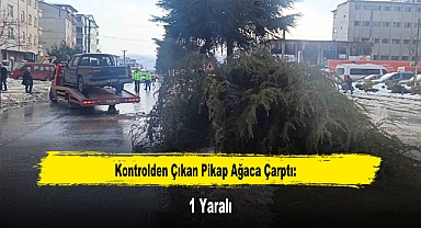 Kontrolden Çıkan Pikap Ağaca Çarptı: 1 Yaralı